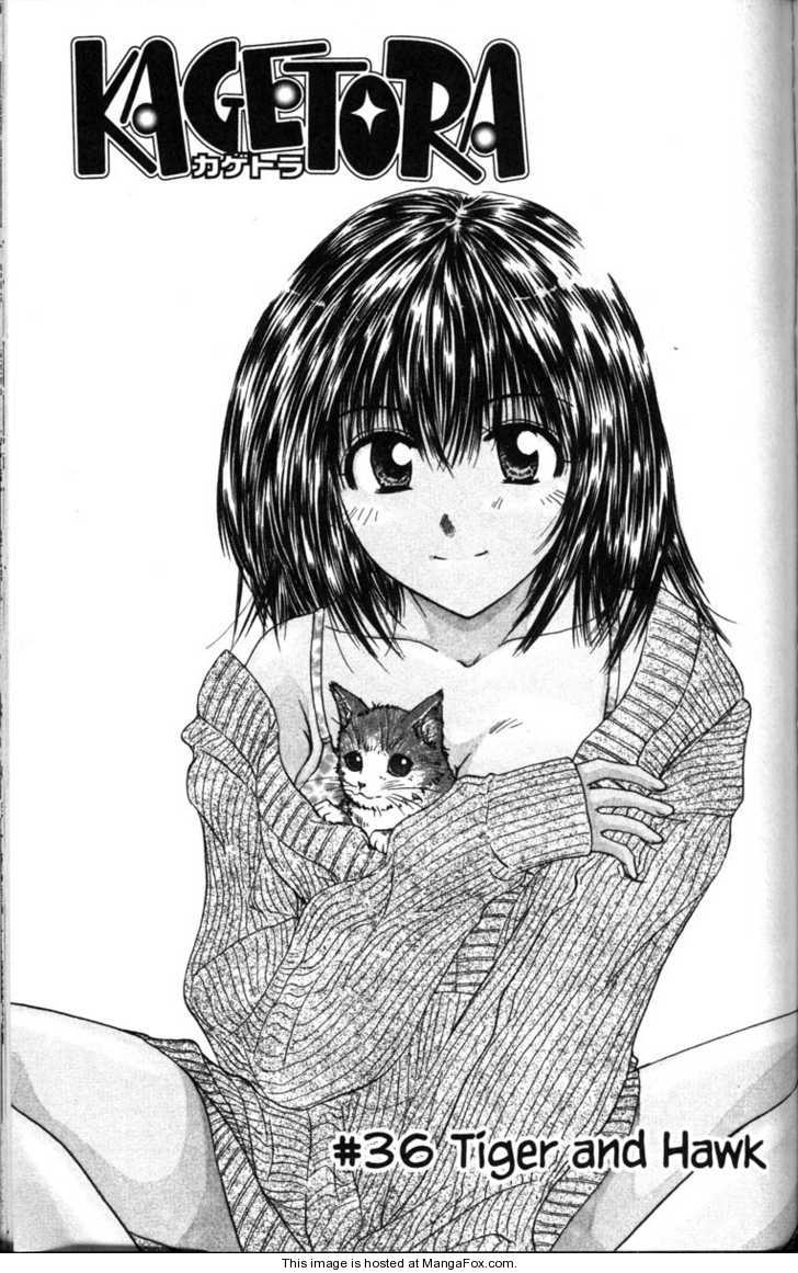 Kagetora 36: Tigher and Hawk at MangaFox.me