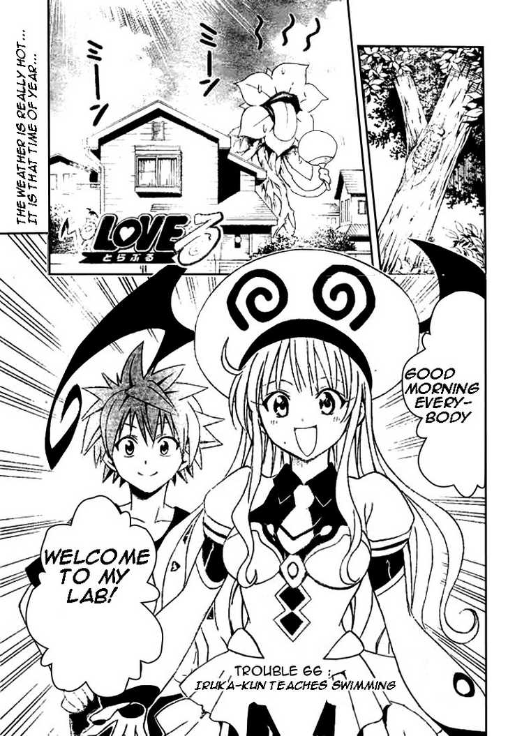 To-LOVE-Ru 66: Swim, Dolphin-Kun! at MangaFox.me