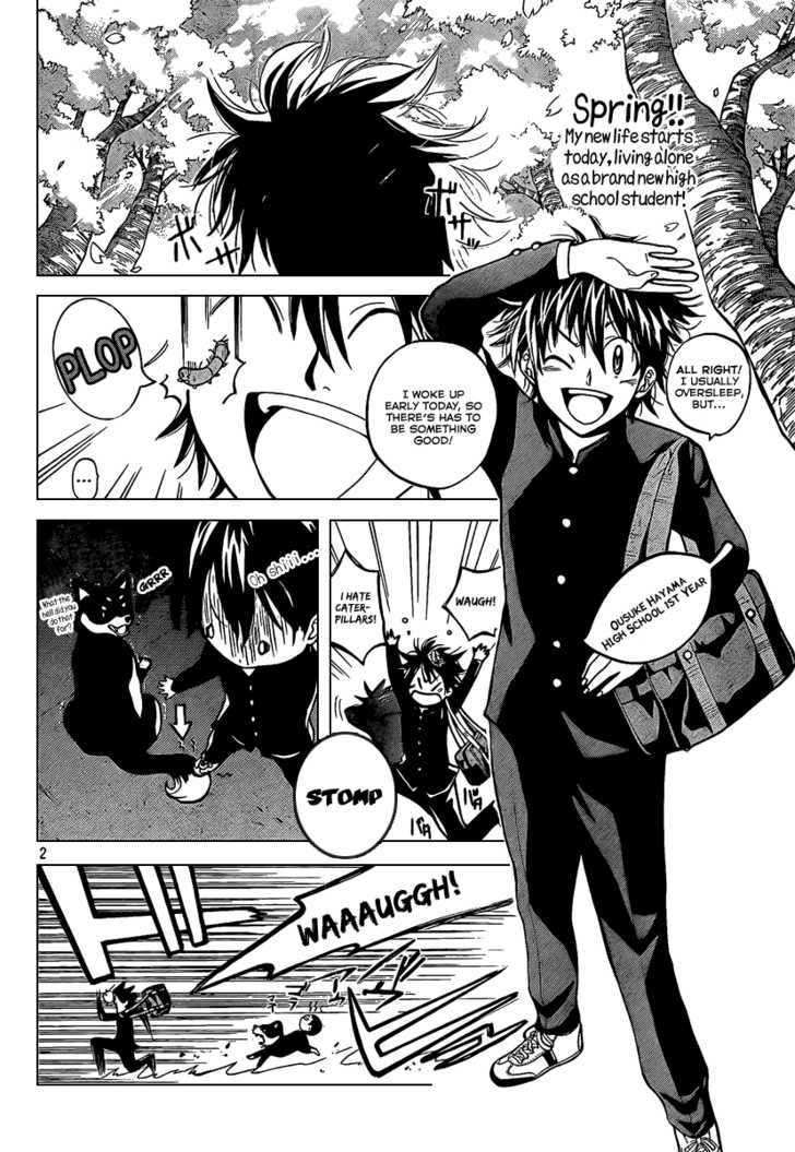 Kitsune no Yomeiri 1: A Girl Like This Is Your Bride! at MangaFox.me