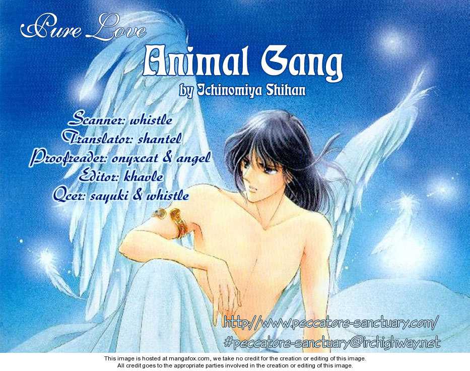 The Catharsis of Pure Love Or Not-Pure Love 4: Animal Gang at MangaFox.me