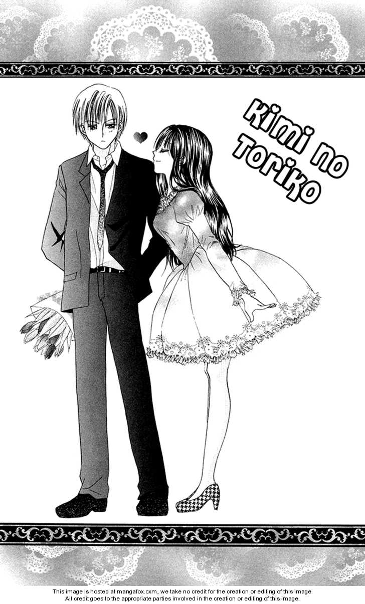Koi no Himitsu Kichi 5.5: Side Story - Kimi no Toriko at MangaFox.me